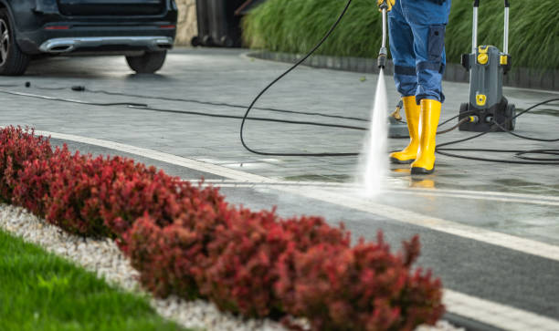 Animal Enclosure Cleaning in Experiment, GA